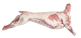 tuszka-kozia-naturalny-wolny-wypas-beskidy-ok-8-kg