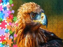 puzzle-tradycyjne-zwierzeta-orzel-producent