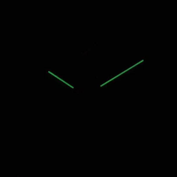 zegarek-timemaster-zqtim-261-06-rodzaj-analogowe