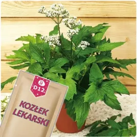 51seed-d12-kozlek-lekarski-waleriana-ziolo-dwuletnie-nasiona-ziol-02g