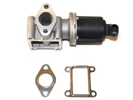 zawor-egr-fiat-bravo-07greater-1-9jtd-2-pin