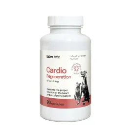 lab-v-cardio-regeneration-wsparcie-prawidlowego-funkcjonowania-pracy-serc