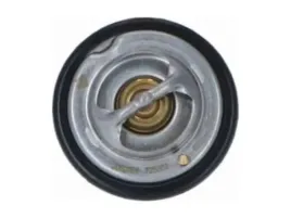 termostat-mercedes-klasa-e-w124-2-0-3-0-s124-2-5-3-0-t1-2-3-2-9