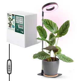 lampa-do-roslin-led-verdi-v2-5w-1300k-czarna-kobi-design