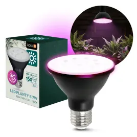 zarowka-do-roslin-led-planty-b-7w-e27-1200k-czarna-kobi-design