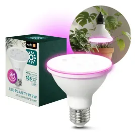 zarowka-do-roslin-led-planty-w-7w-e27-1200k-biala-kobi-design