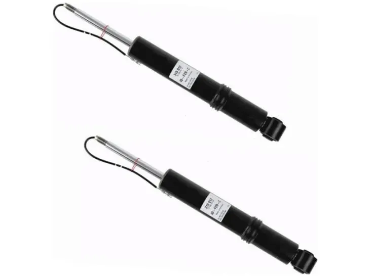 amortyzatory-tyl-sachs-319-012