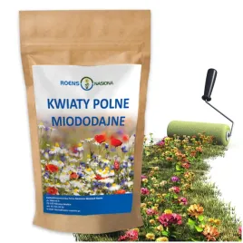 nasiona-kwiatow-polnych-miododajne-naturalna-laka-mieszanka-kwiatow-10x100g