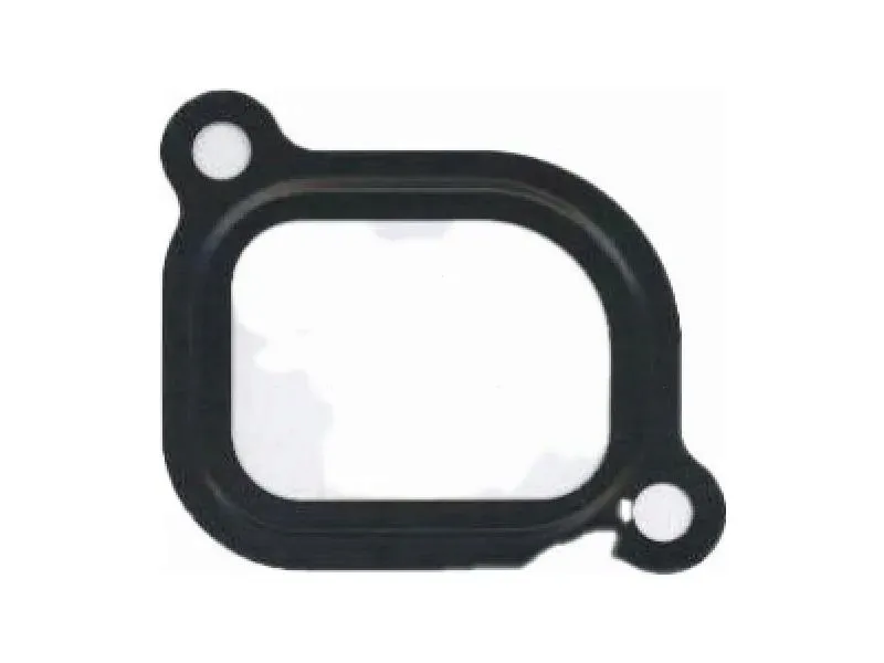 uszczelka-termostatu-bmw-5-e60-e61-6-e63-e64