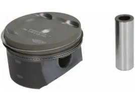 tlok-nural-87-429507-30