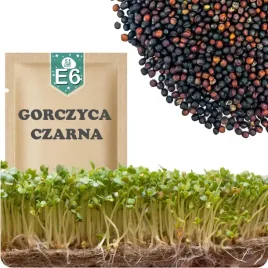 51seed-e6-nasiona-na-kielki-gorczyca-czarna-reguluja-prace-organizmu-20g