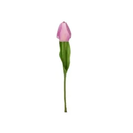 tulipan-galazka-fioletowa
