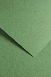 karton-papier-ozdobny-wizytowkowy-earth-zielony-20-arkuszy-220g