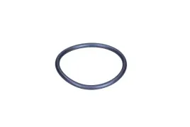 uszczelka-pompy-wody-vw-golf-98-vag-038121119