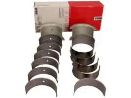 panewki-gl-db-om355-050-mahle-001-hs-10005-050
