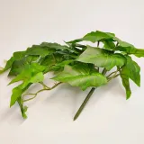 bukiet-lisci-kod-producenta-hortens