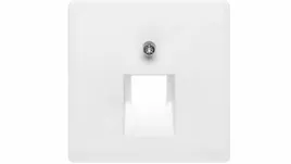 berker-q-1-plakietka-do-gniazda-teleinformatycznego-pojedynczego-snieznob
