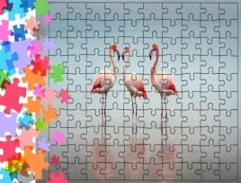 puzzle-tradycyjne-zwierzeta-flamingi-producent