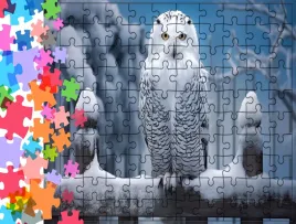 puzzle-tradycyjne-zwierzeta-sowa-producent