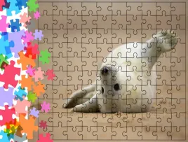 puzzle-tradycyjne-zwierzeta-foka-producent