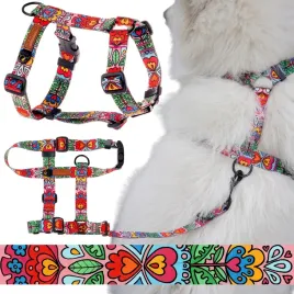 kolorowe-szelki-guard-dla-malego-psa-szczeniaka-s-15-mm-ukory-w-serduszka