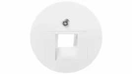 berker-r-1-r-3-plytka-czolowa-do-gniazda-teleinformatycznego-pojedynczego