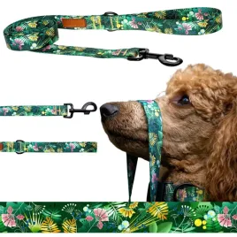 smycz-treningowa-prosta-srednie-psy-do-20-kg-150-cm-ukory-kolorowa-liscie