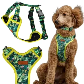 bezuciskowe-szelki-dla-psa-pudla-lagotto-sznaucera-m-25-mm-ukory-zielone