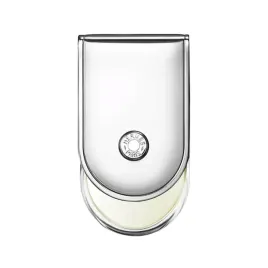hermes-voyage-d-hermes-edt-refill-spray-100ml