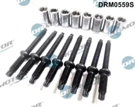 zestaw-srub-wtryskiwacza-citroen-c4-16hdi-03-16-elementow-dr-motor-automo