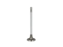 zawor-ss-peugeot-16hdi-freccia-r6728-scr