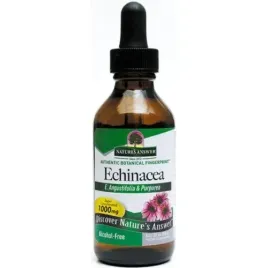 echinacea-root-nature-s-answer-1000mg-60-ml
