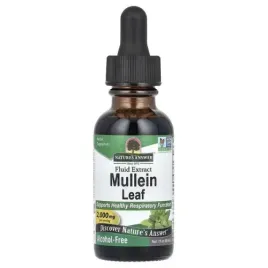 mullein-leaf-nature-s-answer-2000mg-30-ml