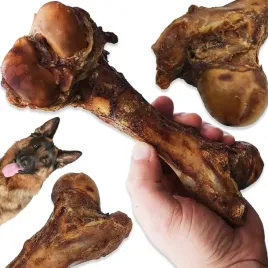 kosci-dla-psa-gnaty-wieprzowe-10-sztuk-suszone-gryzak-naturalny