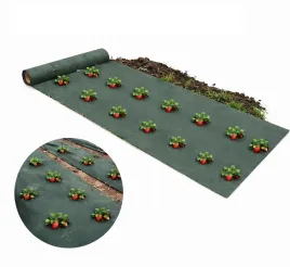 agrowloknina-agrotkanina-mata-antychwastowa-z-otworami-do-sadzenia-1x10m