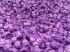 Kolor / wzór produktu #300