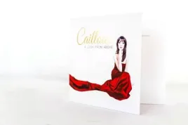 cailloux-a-look-form-above-cd