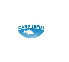 carp-seeds-kukurydza-shock-red-corn-sweet