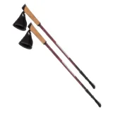 kije-nordic-walking-cliogo