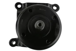 napinacz-paska-micro-v-ford-transit-00greater-rolka
