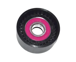 napinacz-rolka-paska-micro-v-master-98-2-5-dci