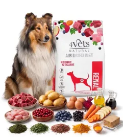 4vets-natural-karma-sucha-wolowina-1-kg