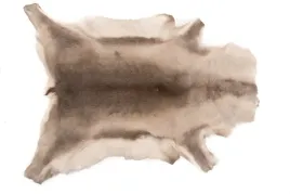 dekoracyjna-skora-z-renifera-skora-renifer