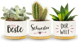 doniczka-na-kwiaty-najlepszy-prezent-do-sadzenia-roslin