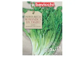 endywia-romanesca-da-taglio-zielona-nasiona