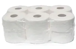 papier-toaletowy-bezzapachowy-jumbo-12-szt-x-100m