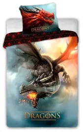 posciel-mlodziezowa-160x200-dragons-latajacy-smok
