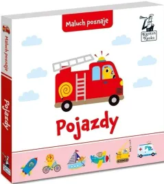 kapitan-nauka-maluch-poznaje-pojazdy-praca-zbiorowa