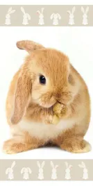 recznik-plazowy-70x140-kroliczek-krolik-rudy-bezowy-bunny-brown