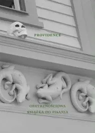 providence-opatrznosciowa-ksiazka-do-pisania